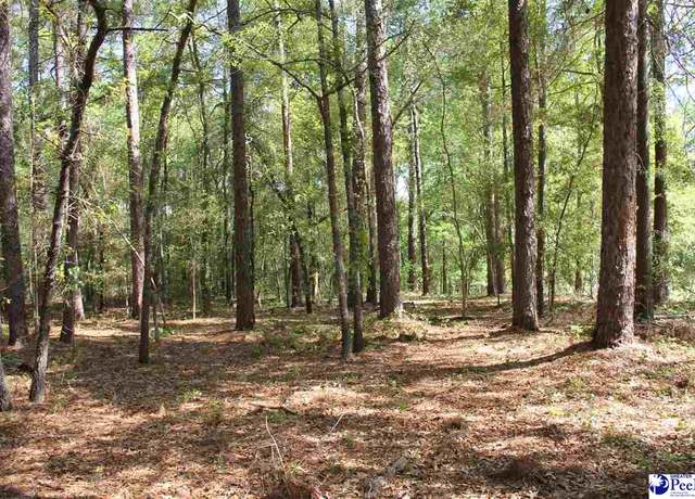Property at TBD Westover Dr, Hartsville, SC 29550