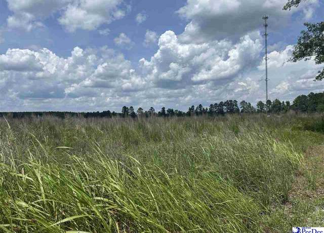 Property at 1335 Ruby Rd, Hartsville, SC 29550