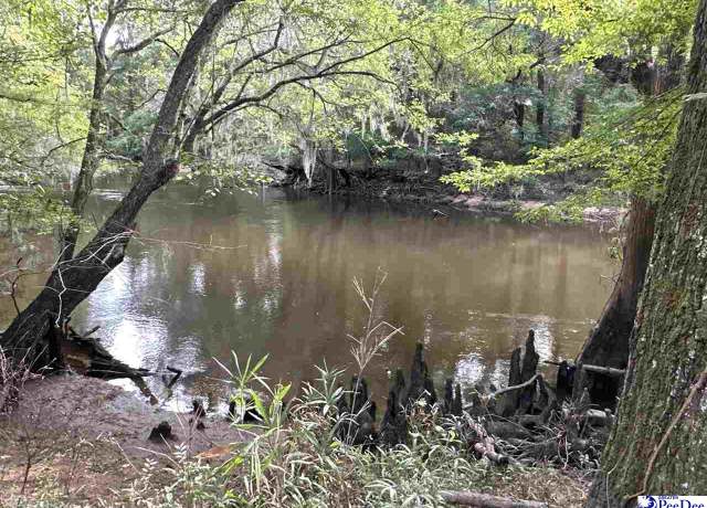 Property at 75 acres N Old Georgetown Rd, Coward, SC 29530