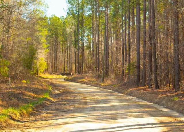 Property at 0 Henry Rd, Greeleyville, SC 29056