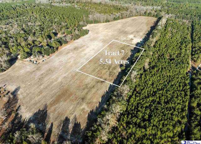 Property at 5.34 Acres Tract 7 Off Flinn Rd, Manning, SC 29102