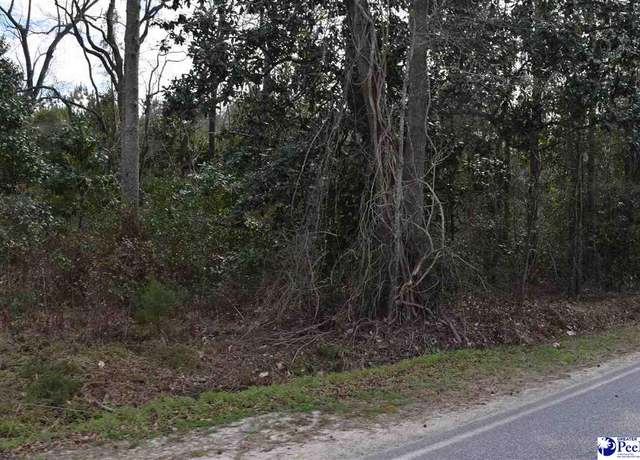 Property at TBD N Price Road & Chinaberry Rd, Florence, SC 29506