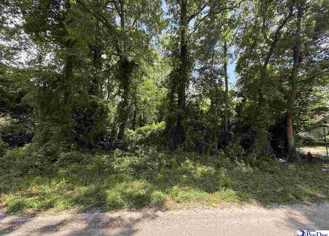Property at Elm St, Johnsonville, SC 29555