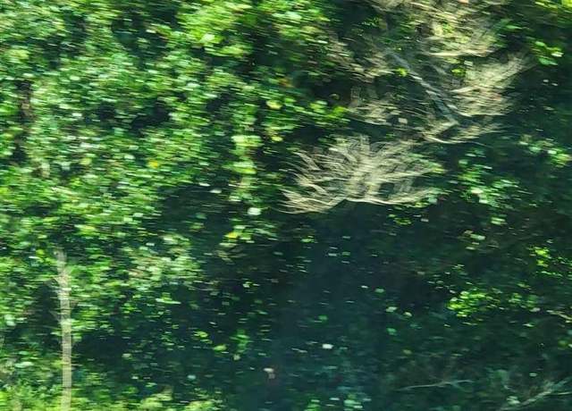 Property at TBD Lot 6A Highway 9, Clio, SC 29525