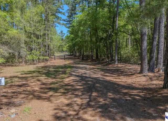 Property at 1315 Hill Harrell Rd, Effingham, SC 29541