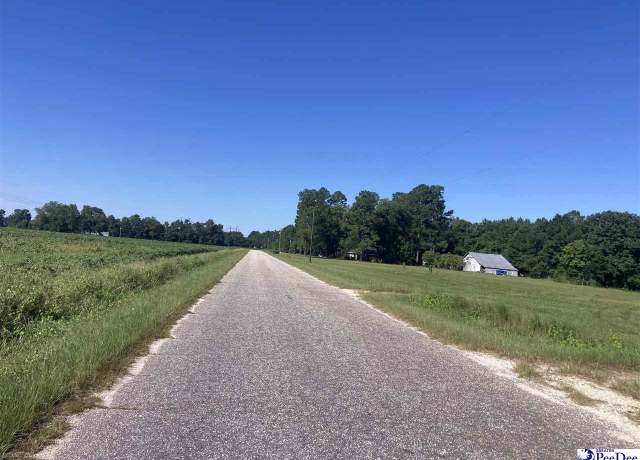 Property at Lone Home Dr, Hamer, SC 29547