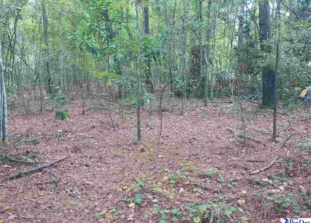 Property at TBD Robert Road, Lot 14, Lake City, SC 29560
