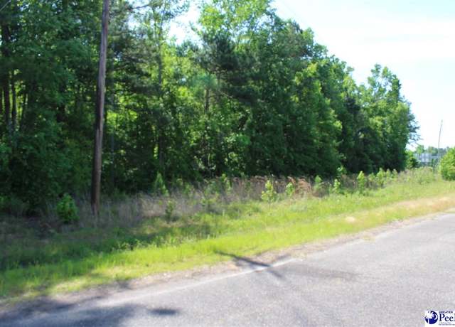 Property at Lot Galveston Ct, Marion, SC 29571