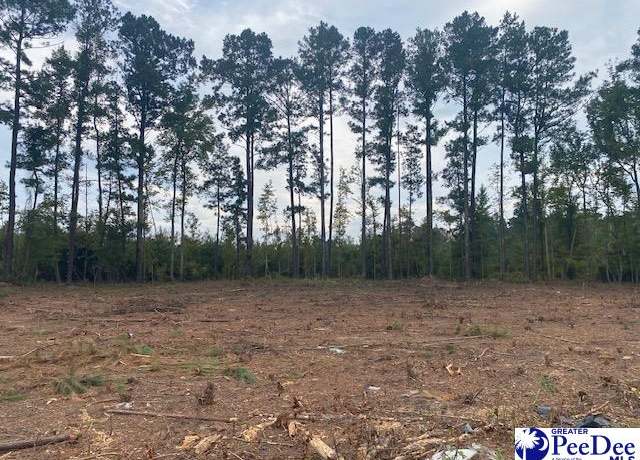 Property at Lot 1-D Daniels Ln, Bennettsville, SC 29512
