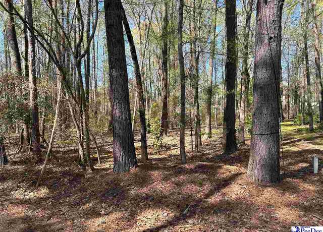 Property at Coach Rd, Cheraw, SC 29520