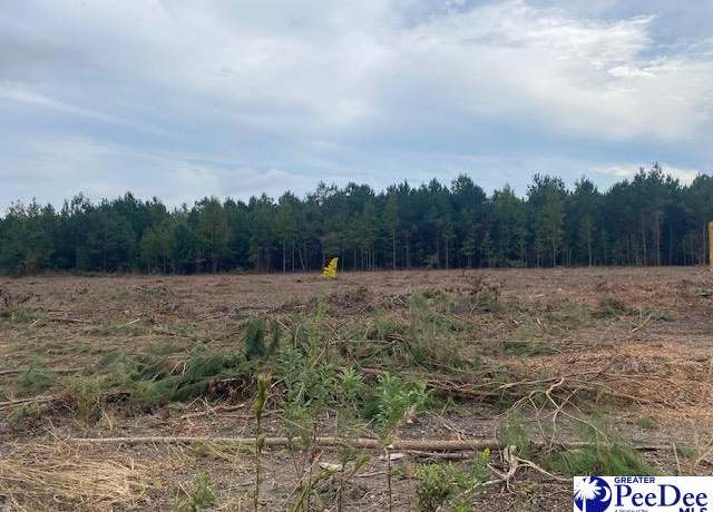 Property at Lot 1-B Daniels Ln, Bennettsville, SC 29512