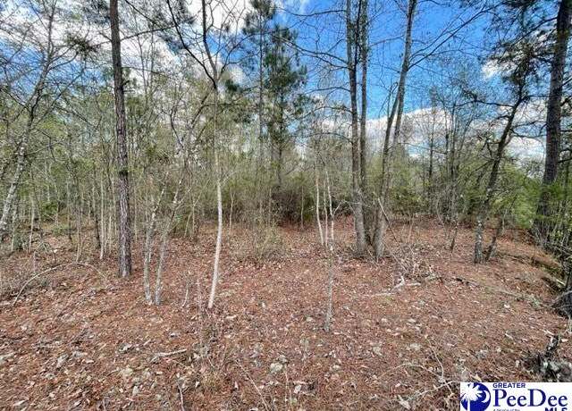 Property at US Hwy 1/52 Truck Route Byp, Cheraw, SC 29520