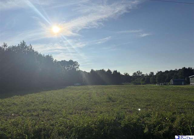 Property at 1111 Marion Church Rd, Salters, SC 29590