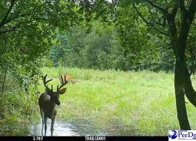 Property at 103.61 Acres Rucker Dr, Timmonsville, SC 29161