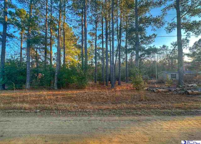 Property at 2925 Leah Dr, Little Rock, SC 29547