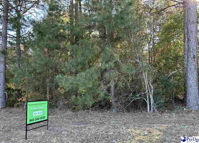 Property at Highway 9 Ln, Cheraw, SC 29520