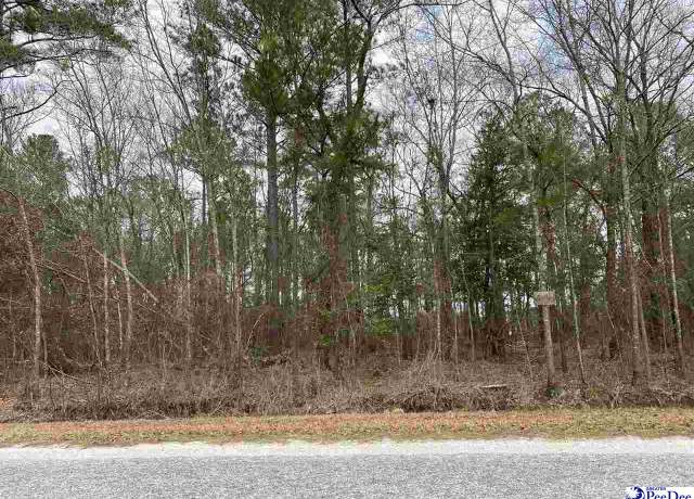 Property at Lot 45 Club Dr, Lamar, SC 29069