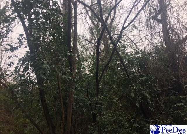 Property at 3636 W Forest Lk, Florence, SC 29501