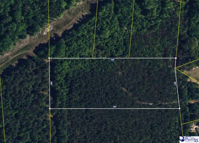 Property at 4.87 Acres Tract "b2" Off Butler Cup Rd, Pamplico, SC 29583