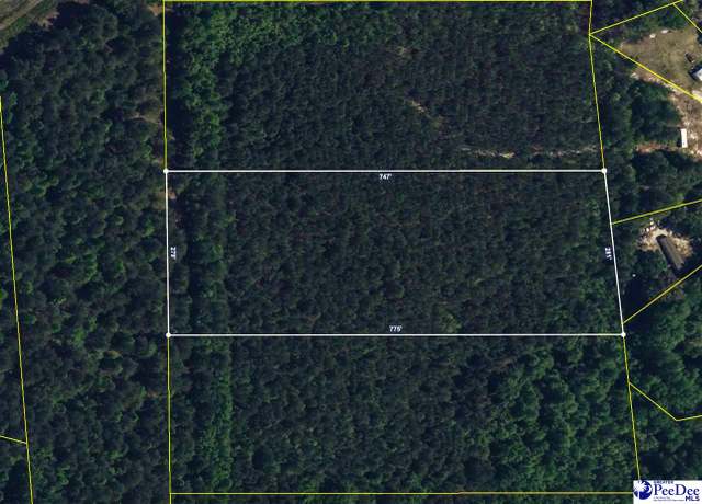 Property at 4.88 Acres Tract "c2" Off Butler Cup Rd, Pamplico, SC 29583