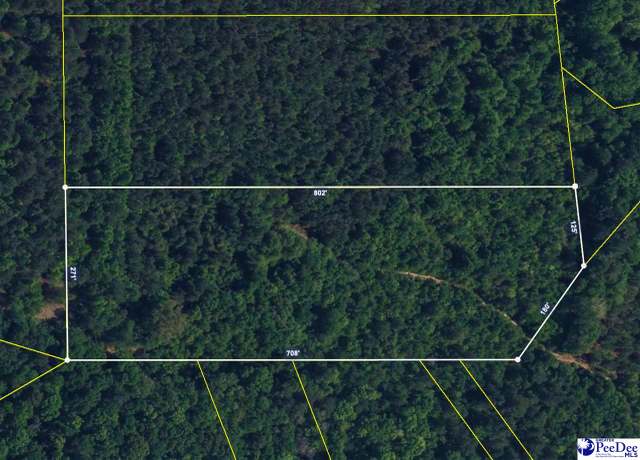 Property at 4.87 Acres Tract "e2" Off Butler Cup Rd, Pamplico, SC 29583