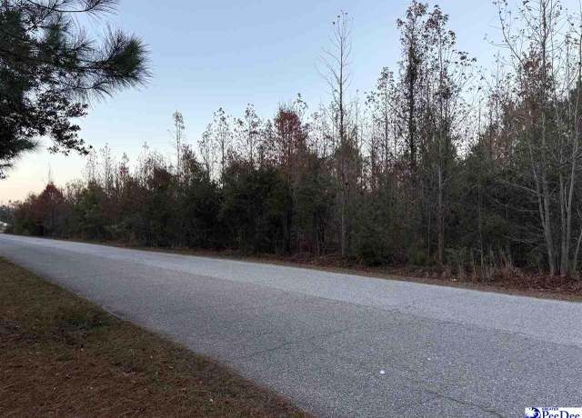 Property at TBD Scottland Rd, Dillon, SC 29536
