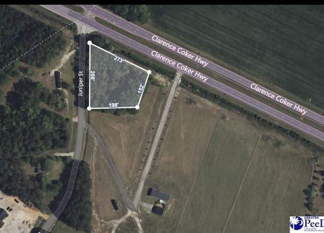 Property at TBD Clarence Coker Hwy, Turbeville, SC 29162