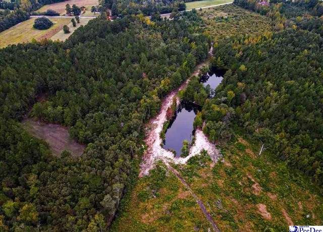 Property at 4088 Cherry Johnson Rd, Effingham, SC 29541