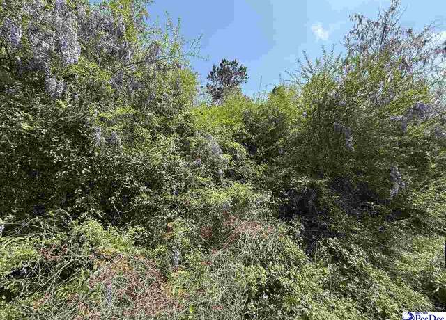 Property at Atlantic Rd, Hemingway, SC 29554