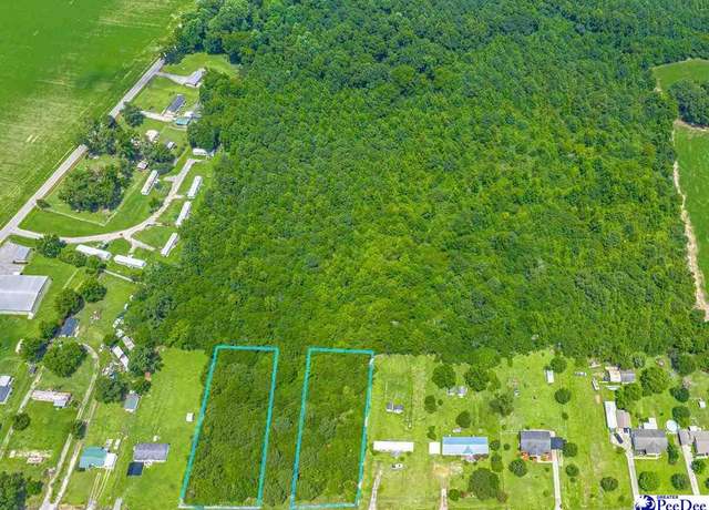 Property at TBD Black Branch Rd, Dillon, SC 29536