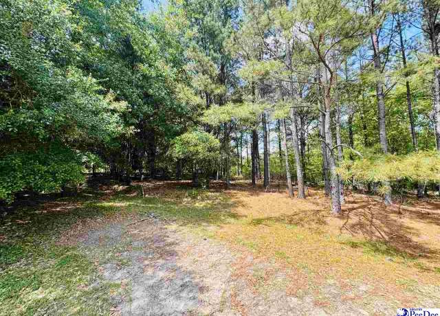Property at 385 Elbert Baskins Rd, Cheraw, SC 29520