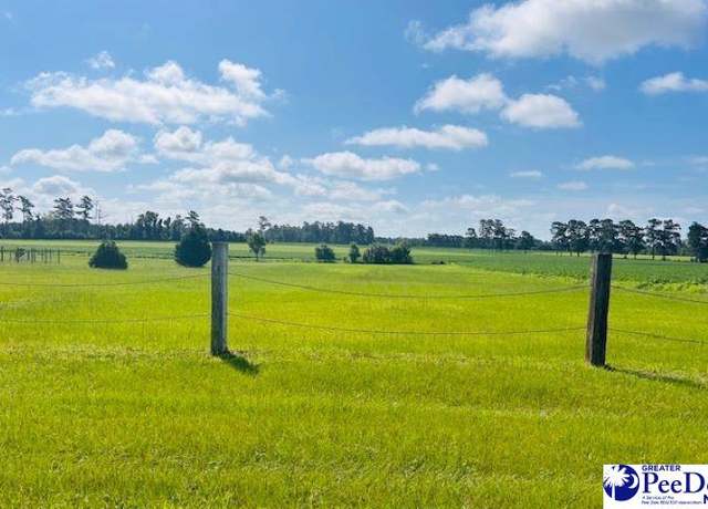 Property at TBD Bud Graham Rd, Galivants Ferry, SC 29544