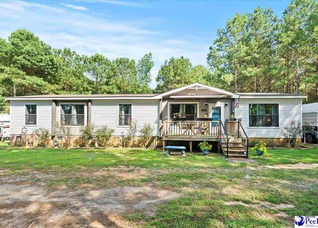 Property at 224 Coxe Road East, Blenheim, SC 29516, 4 beds, 2 baths