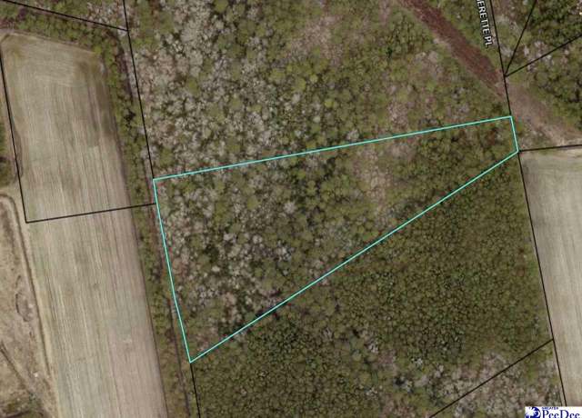 Property at TBD Jenerette Pl, Hemingway, SC 29554
