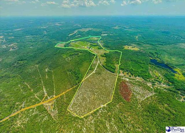 Property at Turnage Rd-213.96 Acres, Patrick, SC 29584