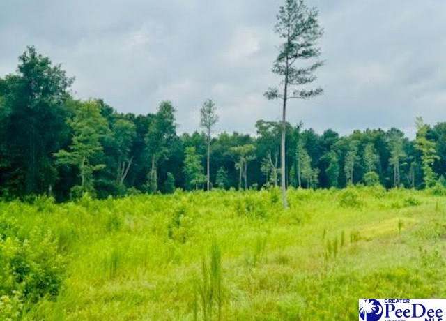 Property at 0000 Santa Anita Rd (4.61+/-), Cheraw, SC 29520