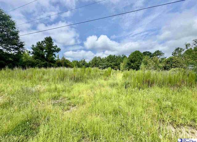 Property at TBD Nessey Ct, Marion, SC 29571