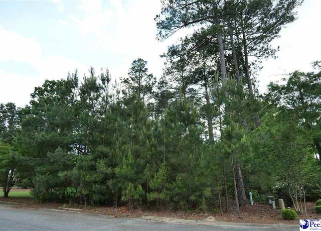 Property at 925 Ashton Dr, Florence, SC 29501