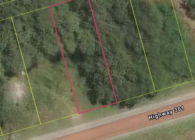 Property at TBD Highway 301, Sellers, SC 29592