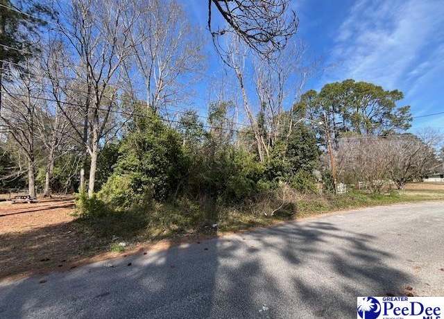 Property at TBD Jones Cir, Bishopville, SC 29010