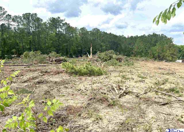 Property at 2211 Old Charlesron Dr, Scranton, SC 29591