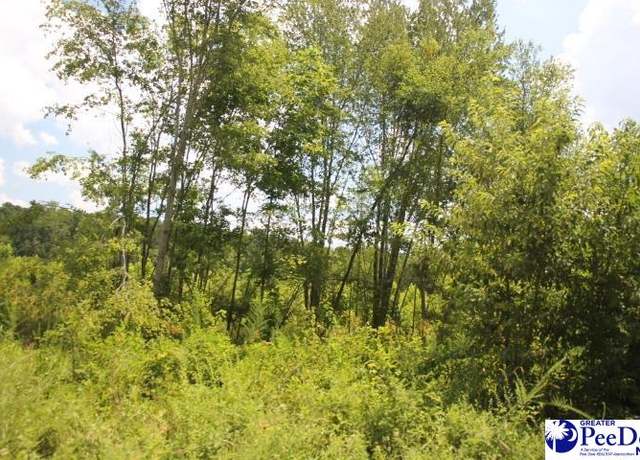 Property at 224 Sweeney Rd, Chesterfield, SC 29709