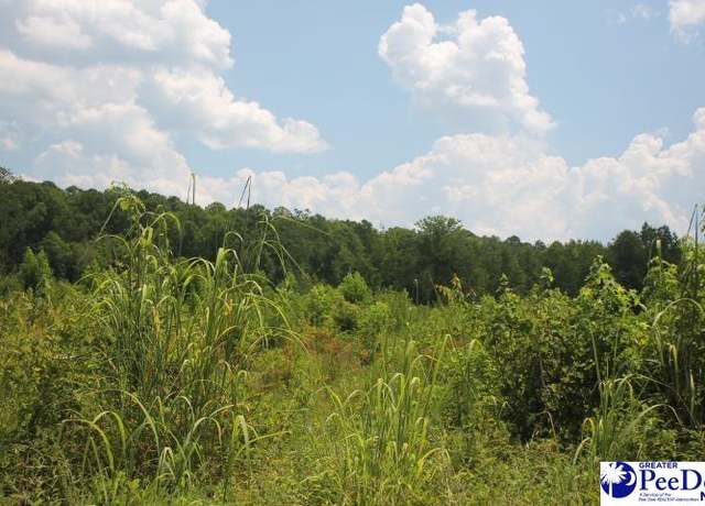 Property at TBD Sweeney Rd, Chesterfield, SC 29709