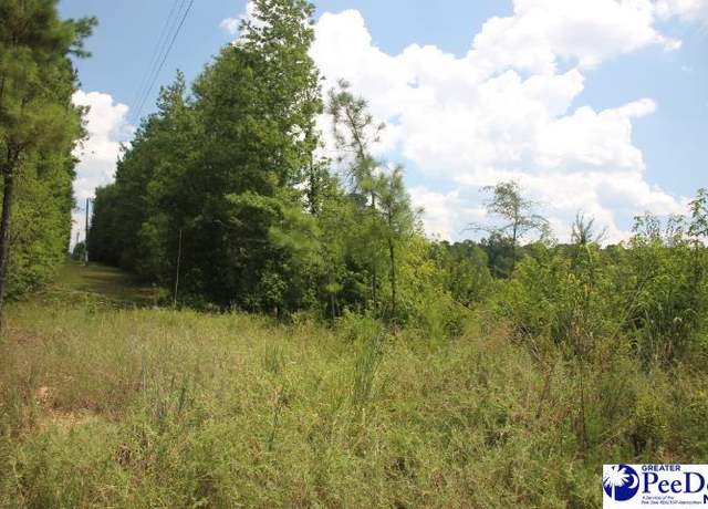 Property at TBD Lot 2 Sweeney Rd, Chesterfield, SC 29709