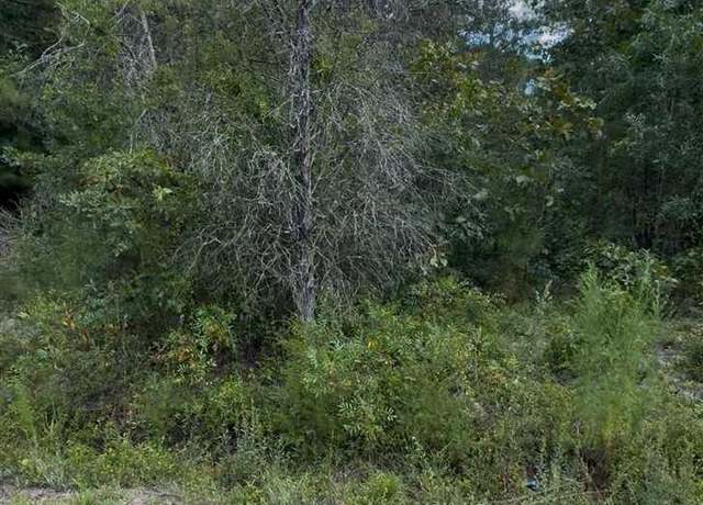 Property at TBD Sail Club Rd. (state Rd S-13-674) Tms..162, Hartsville, SC 29550