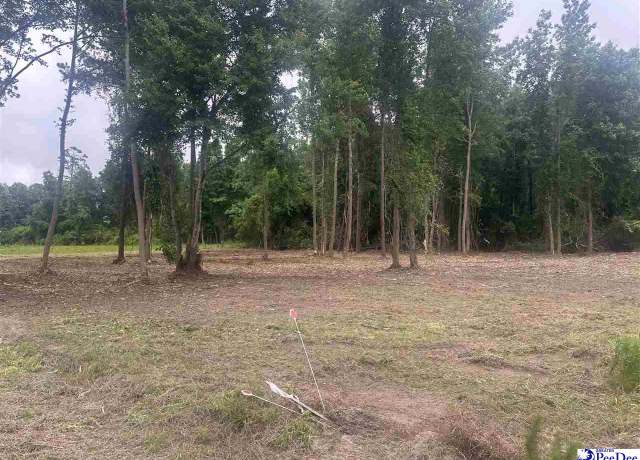 Property at Lot 18 Heidi Ln, Hamer, SC 29547