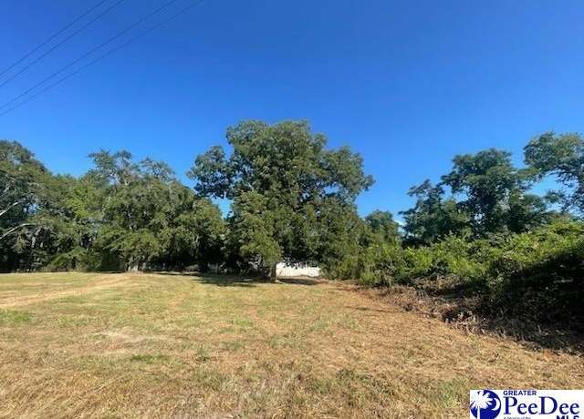 Property at Lot A N Craig St, Chesterfield, SC 29709