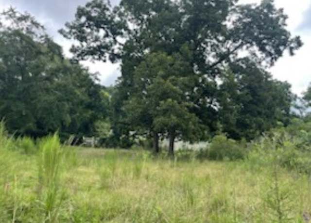 Property at Lot B N Craig St, Chesterfield, SC 29709