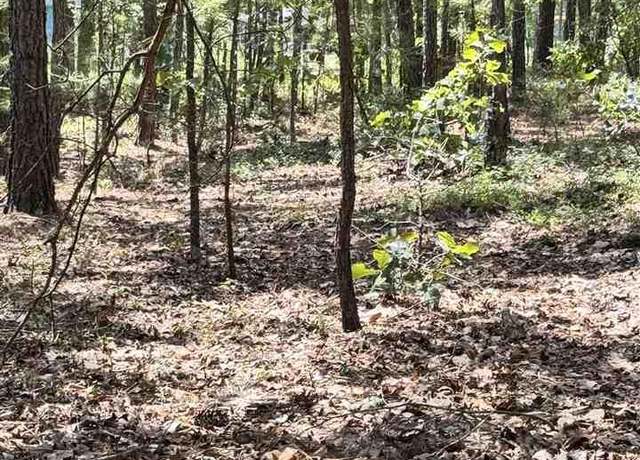 Property at TBD Sailclub Rd. (tm#164 & 157) State Rd S-13-674, Hartsville, SC 29550