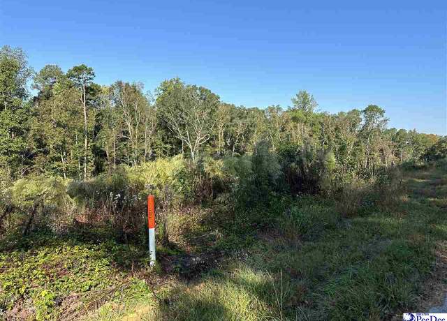 Property at Lot 3 Green St, Chesterfield, SC 29709